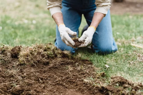 jardinero preparando la tierra para plantar